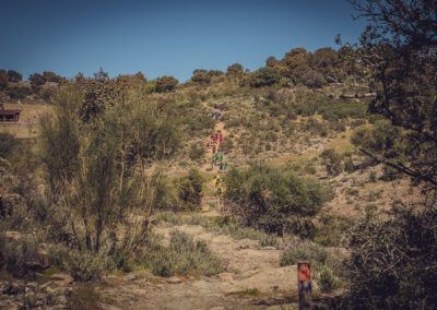EBS Trophy Parque de Monfragüe 2019