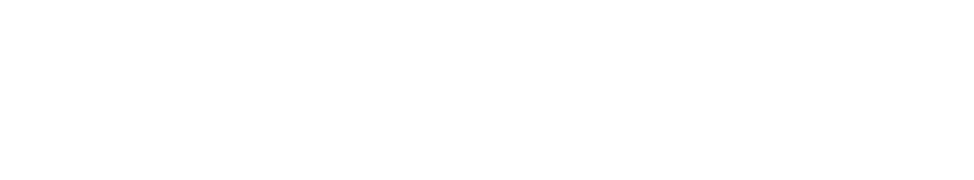 Logo LID EBS