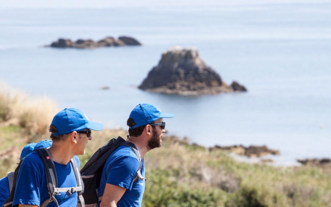 Aunios: La isla del Liderazgo