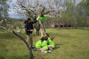 EBS Talent Camp niños